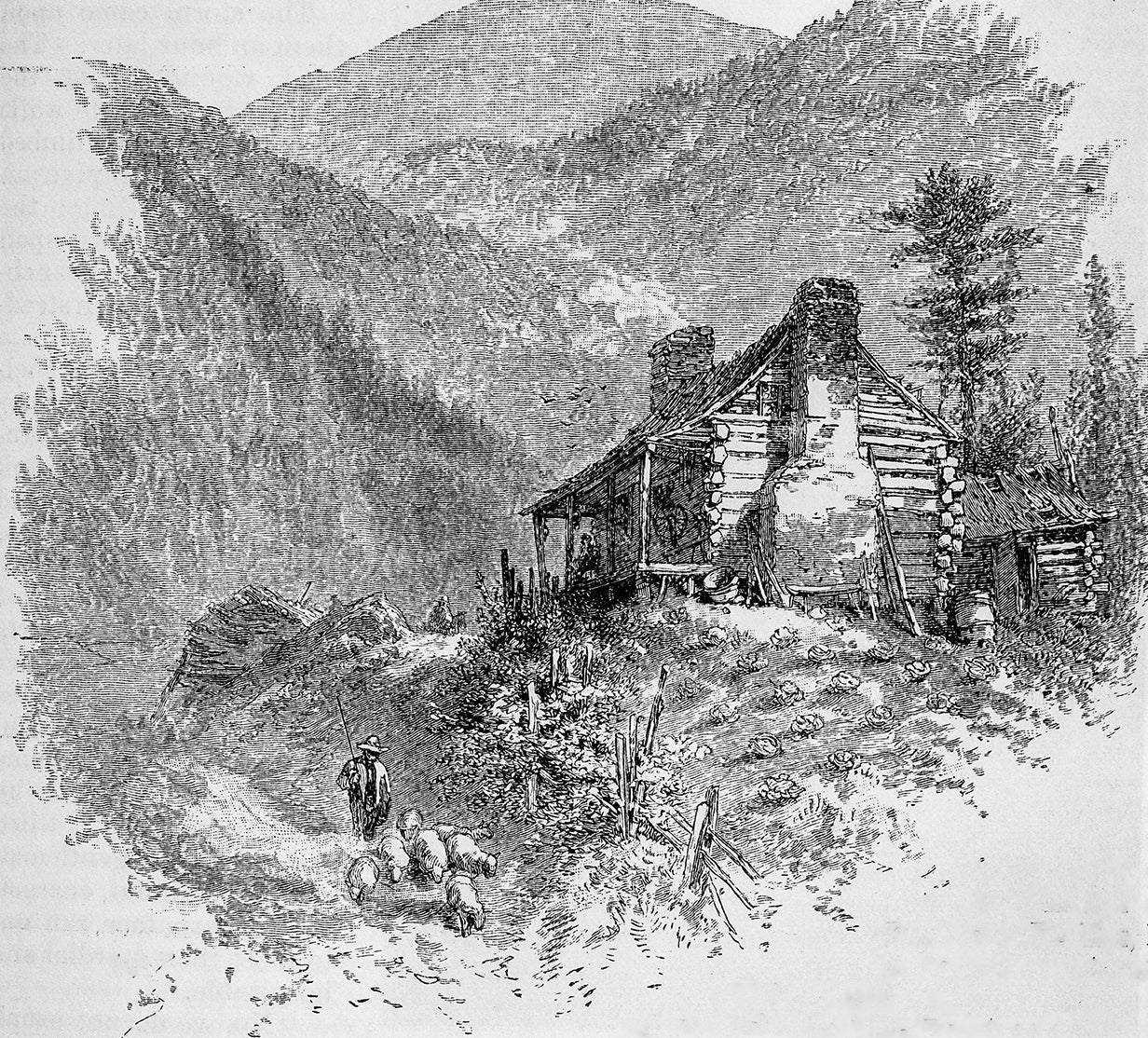  Engraving by KenWiedemann from Harper's New Monthly Magazine Volume LXL June to November 1880: A man tends to his sheep outside a remote rustic log cabin nestled in the Blue Ridge Mountains.
