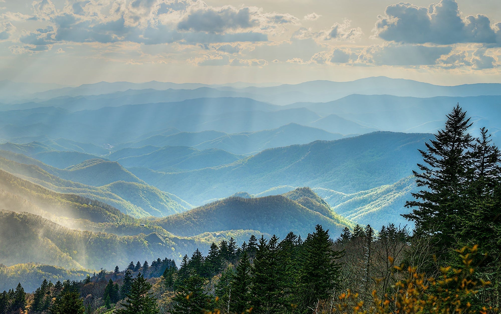  Piet's place, a dedication bench, a 5 minute hike from waterrock knob on the Mountains to Sea Trail